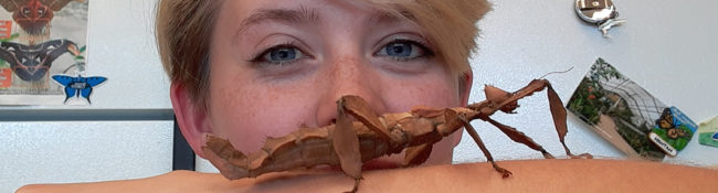 entomology intern with a huge insect on her arm