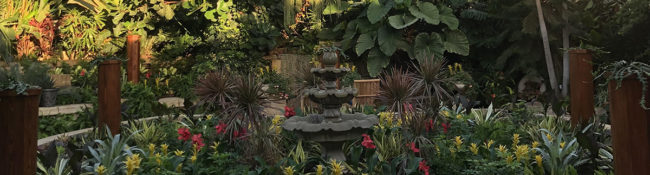 wide shot of a tropiical plant conservatory in summer with red and yellow flowers